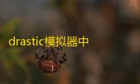drastic模拟器中文版